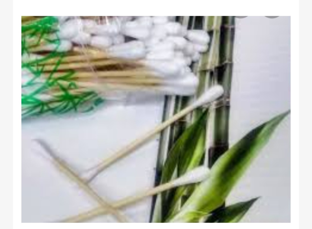 Bamboo Cotton Buds  100pc SKU   980168